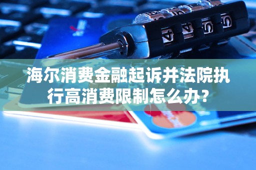 法院执行高消费限制怎么办？龙8体育海尔消费金融起诉并(图1)