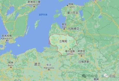 抱怨中国“不识抬举”？！龙8囯际立陶宛示好遭冷遇(图4)